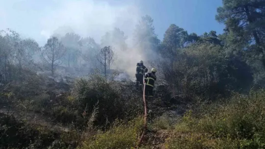 Kocaeli'de ormanlık alanda yangın çıktı