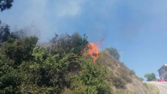 Kocaeli'de ormanlık alanda yangın çıktı