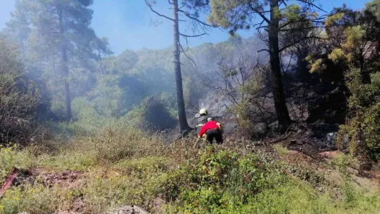 Kocaeli'de ormanlık alanda yangın çıktı