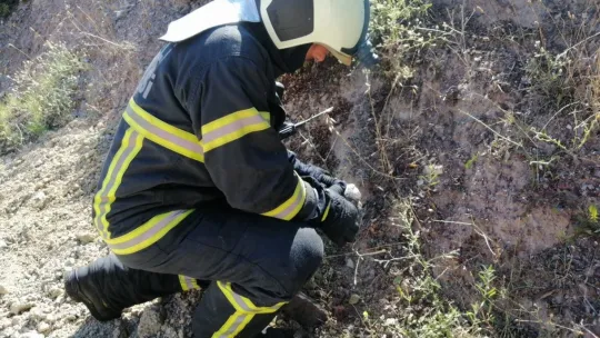 Kocaeli'de ormanlık alanda yangın çıktı