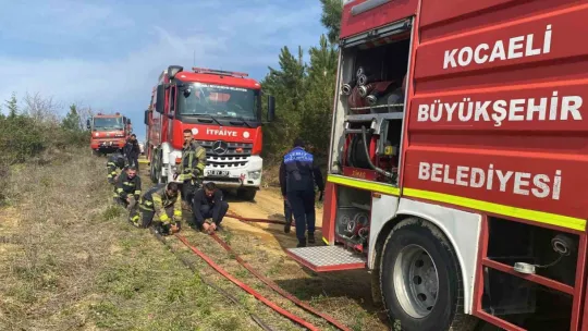 Kocaeli'de ormanlık alanda yangın çıktı