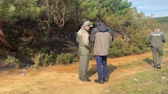 Kocaeli'de ormanlık alanda yangın çıktı