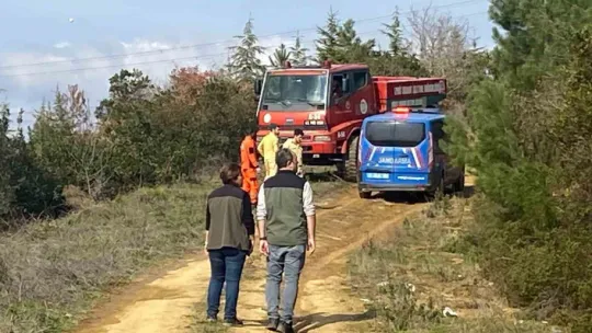 Kocaeli'de ormanlık alanda yangın çıktı