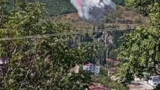 Kocaeli'de ormanlık alanda yangın çıktı