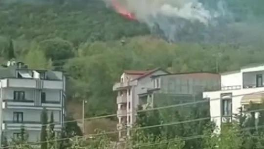 Kocaeli'de ormanlık alanda yangın çıktı