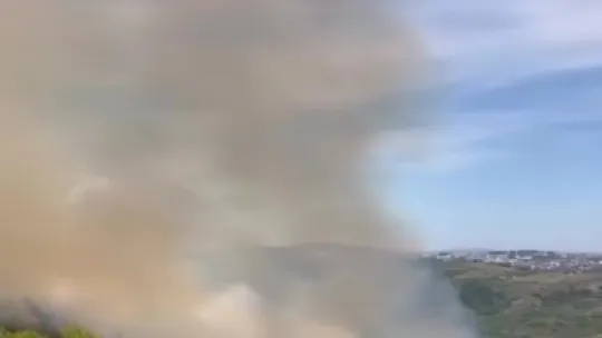 Kocaeli'de ormanlık alanda yangın çıktı
