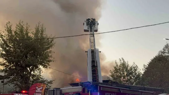 Kocaeli'de palet deposunda büyük yangın