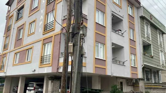 Kocaeli'de şiddetli rüzgar 12 metrelik ağacı devirdi: Yol trafiğe kapandı