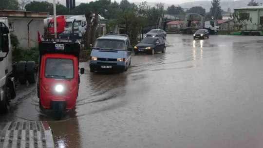 Kocaeli'de şiddetli rüzgar ağacı kökünden söktü