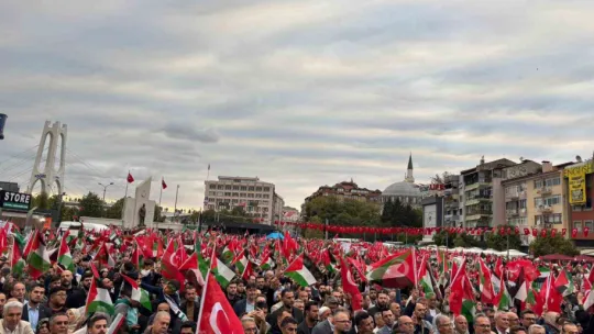 Kocaeli'de Sumud Filosu için dev miting