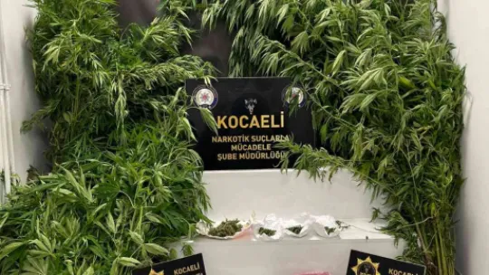 Kocaeli'de uyuşturucu operasyonu: 7 tutuklama