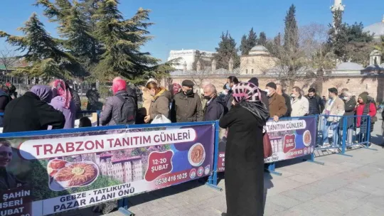 Kocaeli'de, Trabzonlular 3 ton hamsi dağıttı