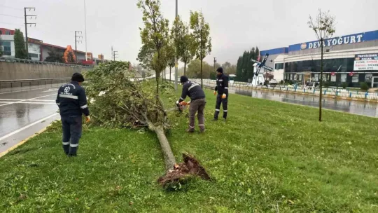 Kocaeli'de zorlu mücadele