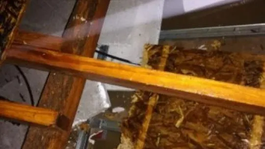 Kocaeli'deki fırtına hayatı olumsuz etkiledi