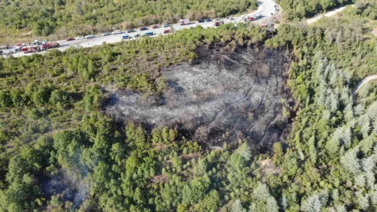 Kocaeli'deki orman yangını 1 saatlik müdahaleyle kontrol altına alındı