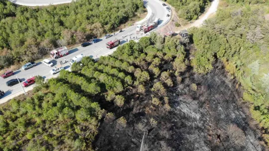 Kocaeli'deki orman yangını 1 saatlik müdahaleyle kontrol altına alındı