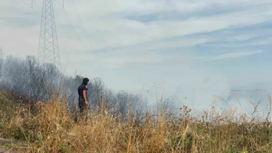 Kocaeli'deki orman yangınında son durum