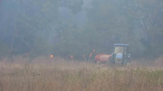 Kocaeli'deki orman yangını 3 saatte kontrol altına alındı