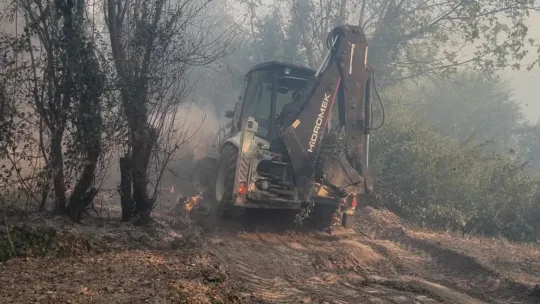 Kocaeli'deki orman yangınında son durum