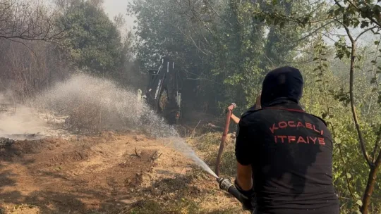 Kocaeli'deki orman yangınında son durum