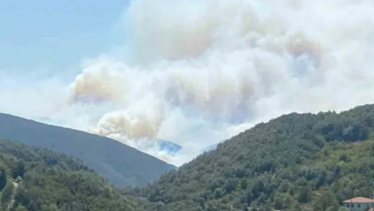 Kocaeli'de orman yangını için seferber oldular