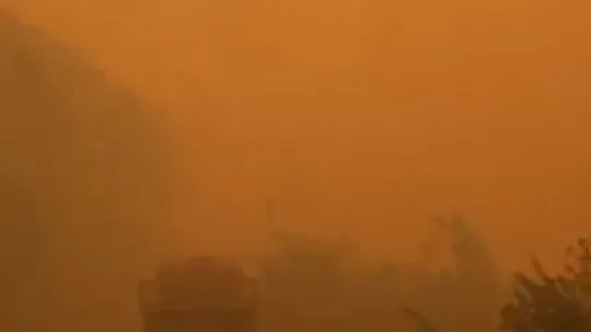 Kocaeli'de orman yangını için seferber oldular