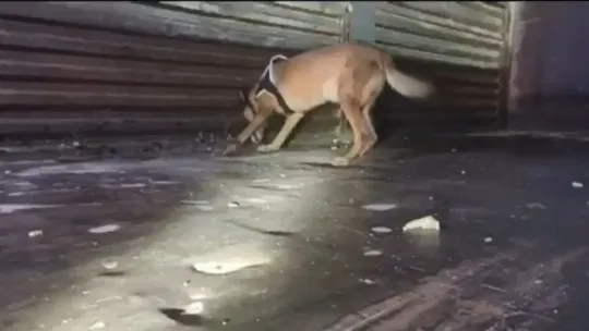 Kocaeli'deki TIR'da 132 kilo 800 gram eroin ele geçirildi!