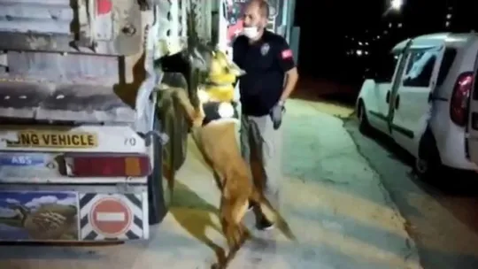 Kocaeli'deki TIR'da 132 kilo 800 gram eroin ele geçirildi!