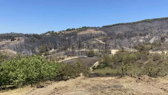 Kocaeli'deki yangında büyük ölçüde kontrol sağlandı