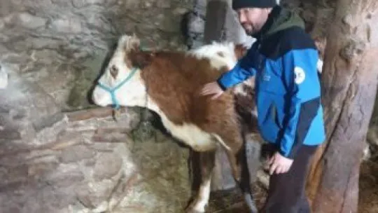 Kocaeli, Elazığ'ın yaralarını sarıyor