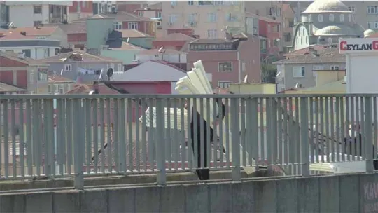 Kocaeli ile İstanbul bağlantısı kapatıldı!