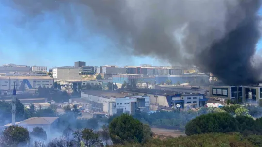 Kocaeli İstanbul sınırındaki yangın araçlara ve otluk alana sirayet etti