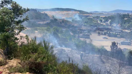 Kocaeli İstanbul sınırındaki yangın araçlara ve otluk alana sirayet etti