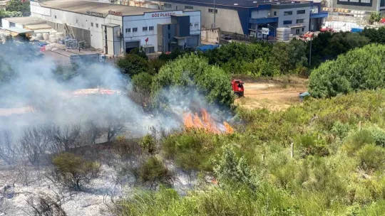 Kocaeli İstanbul sınırındaki yangın araçlara ve otluk alana sirayet etti