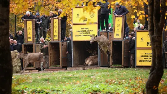 Kocaeli'nin doğa turizmi merkezleri milyonları ağırladı