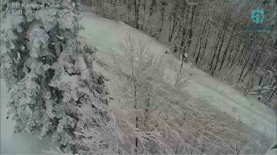Kocaeli'nin yüksek kesimlerinde kar etkili oldu