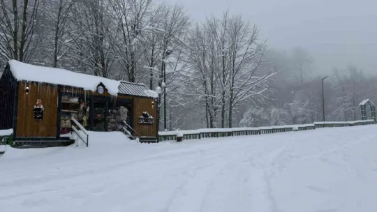 Kocaeli'nin yüksek kesimlerine lapa lapa kar yağıyor