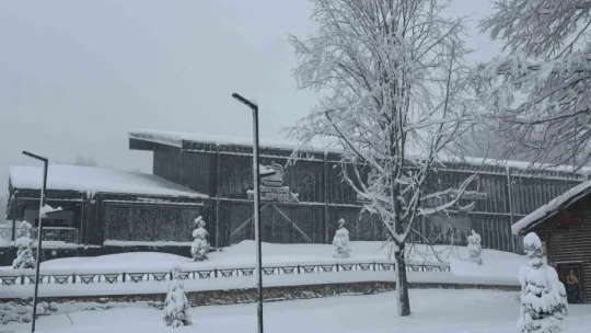 Kocaeli'nin yüksek kesimlerine lapa lapa kar yağıyor