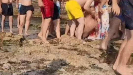 Kocaeli sahilleri ringe döndü, yumruk ve tekmeler havada uçuştu