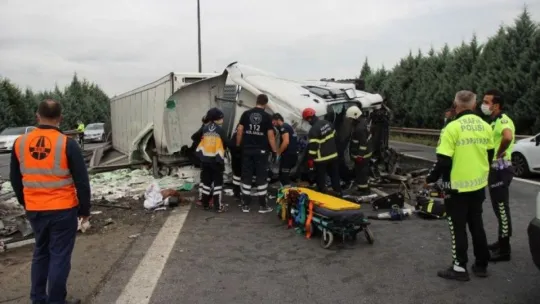 Kocaeli TEM Otoyolu'nda balık yüklü tır devrildi