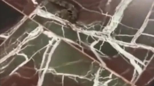 KOÜ Hastanesi koridorlarında mide bulandıran görüntüler