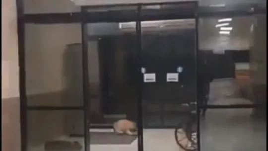 KOÜ Hastanesi koridorlarında mide bulandıran görüntüler