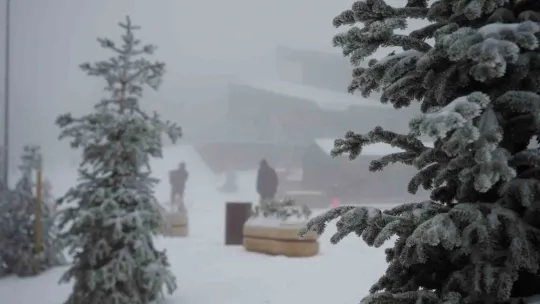 Kocaeli'ye lapa lapa kar yağıyor