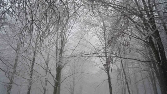 Kocaeli'ye lapa lapa kar yağıyor