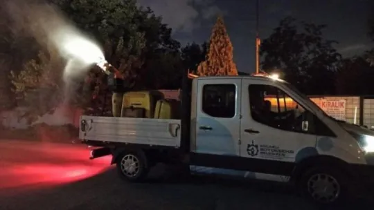 Kocaeli'de 3 ilçeyi böcekler istila etti!