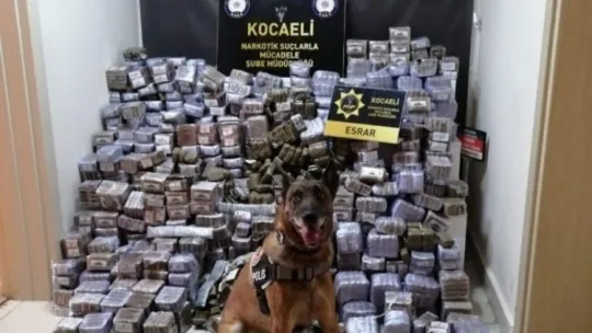 Kocaeli'de 330 kilogram esrar ele geçirildi