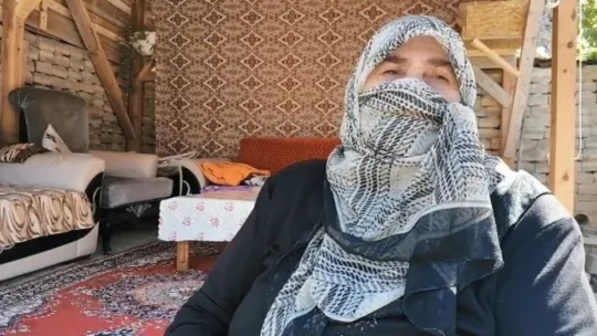 Kocaeli'de akrep ve yılanlar mahalleyi bastı!