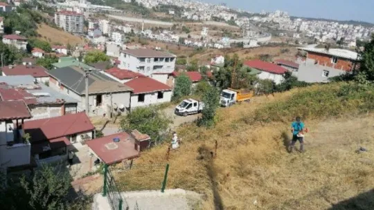 Kocaeli'de akrep ve yılanlar mahalleyi bastı!
