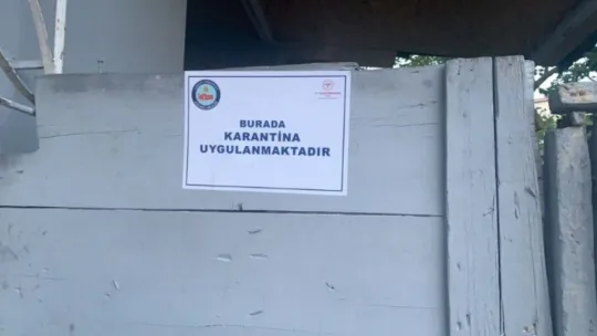 Kocaeli'de bir sokak karantinaya alındı!