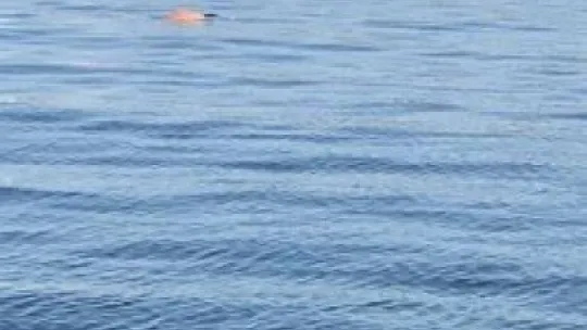 Kocaeli'de denizde erkek cesedi bulundu